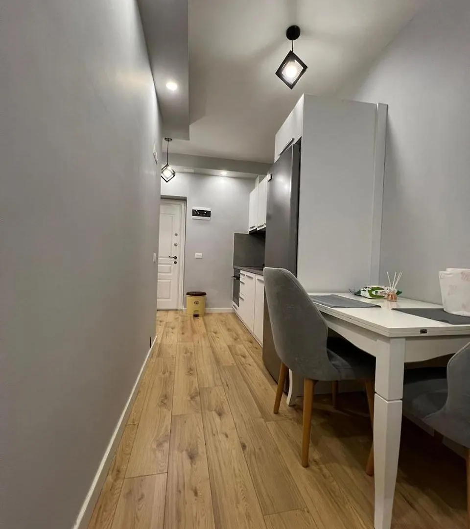 Starlight Downtown Apartment 地拉那